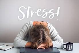 Managing Holiday Stress: National Stress Awareness Day | Health Pointe Jacksonville