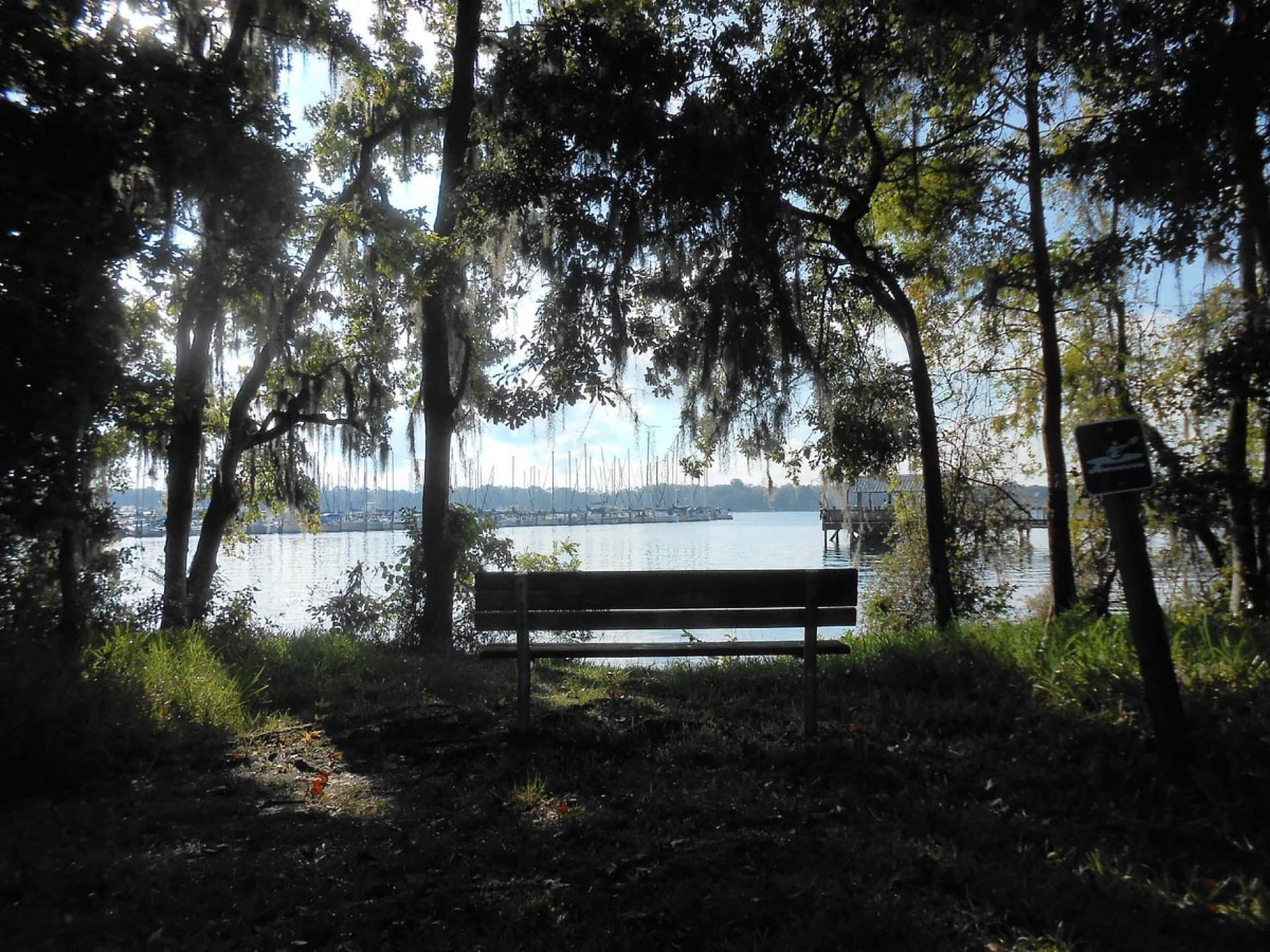 Mandarin Park bench overlooking the St. Johns River with Spanish moss trees in Jacksonville, FL — Health Pointe Jacksonville acupuncture serves Mandarin patients