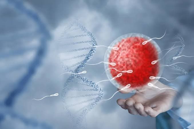 Illustration of sperm approaching an egg cell against a DNA helix, representing sperm count, motility, and morphology
