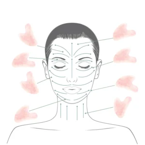 Diagram of facial gua sha stroke directions across the forehead, cheeks, jawline and neck